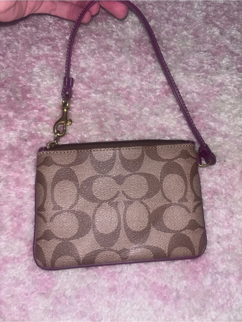 Coach Brown Signature Canvas Wristlet with Purple Stripe